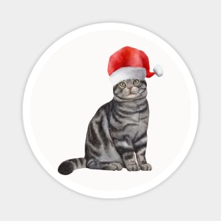 Cute And Lovely Animals With Christmas Magnet